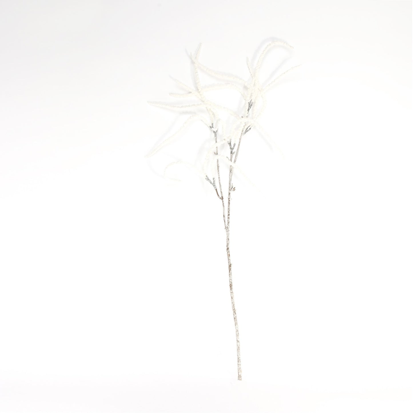 White Willow Spray