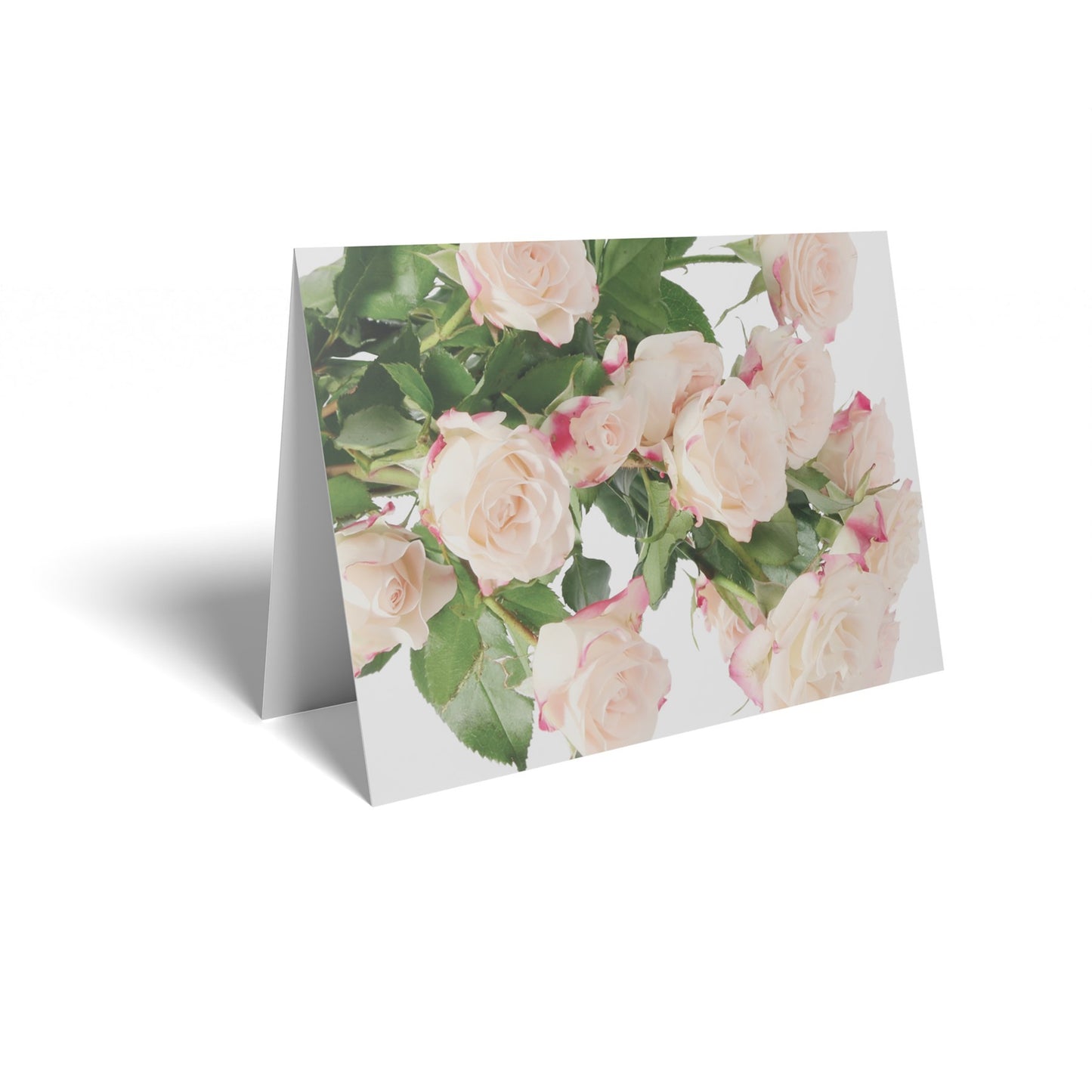 Pale Pink Roses Folded Card with Care Info (pack of 25)