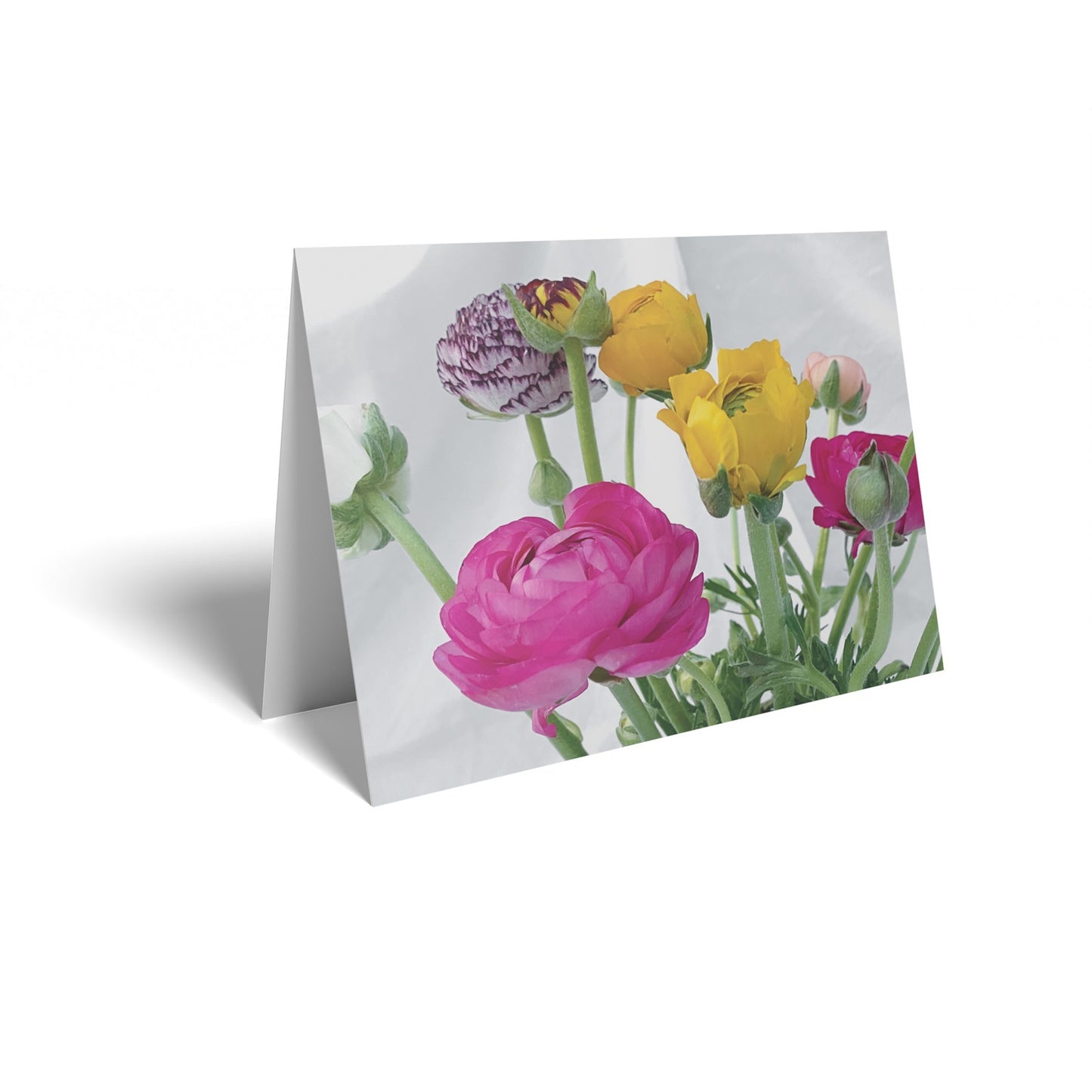 Ranunculus Folded Card with Care Info (pack of 25)