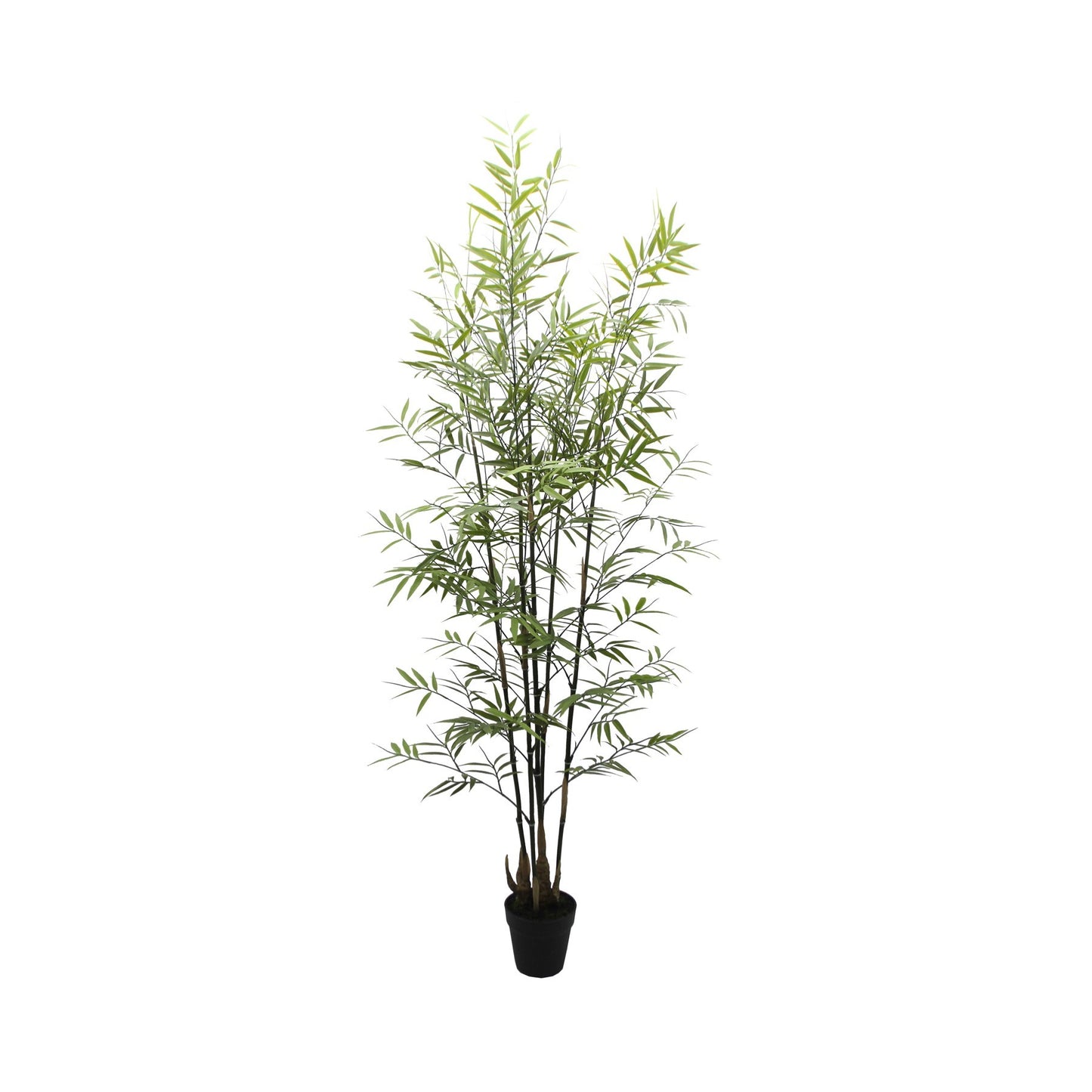 UV Botanica Bamboo Plant  (152cm)