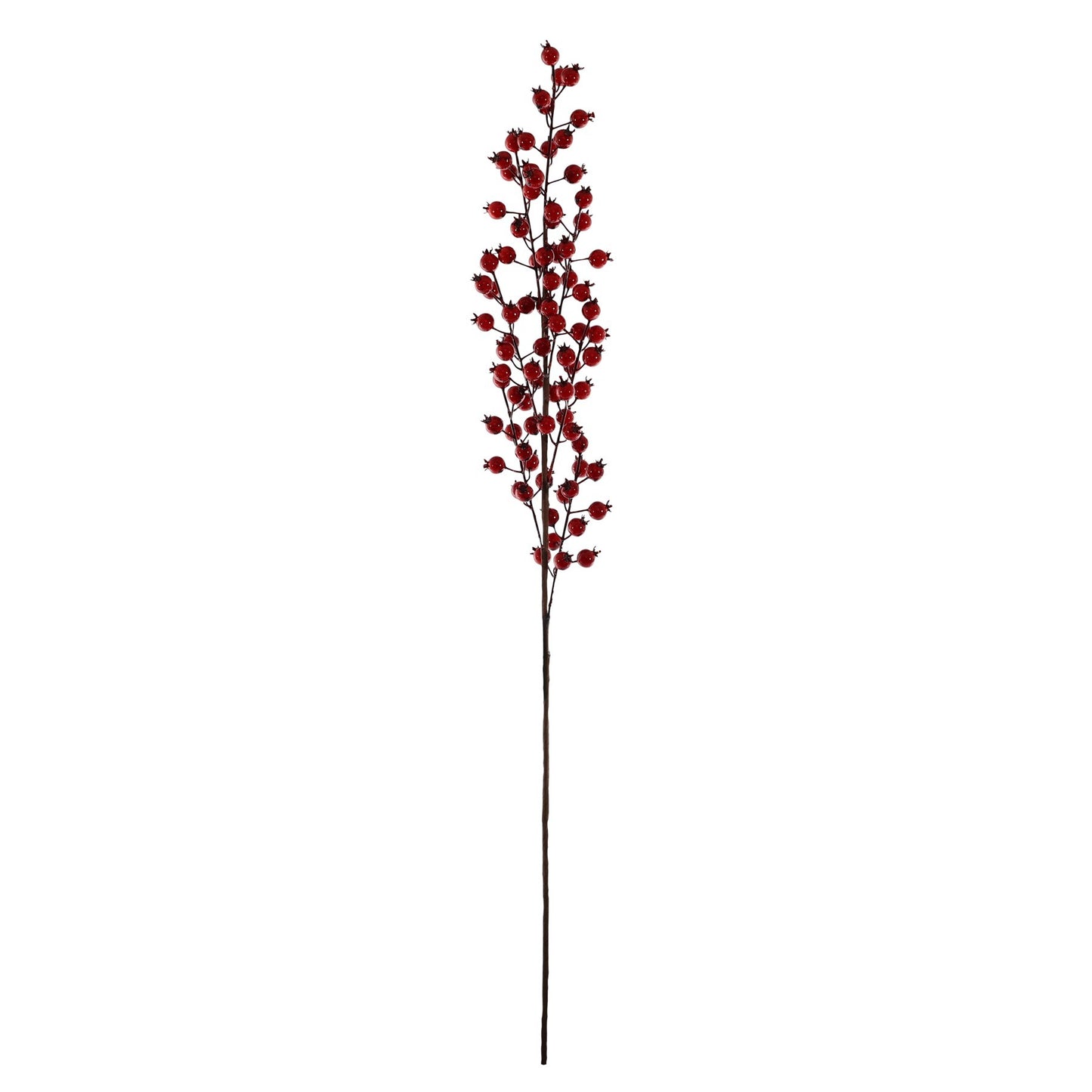 Red Mini Rose Hip Stem (86cm)