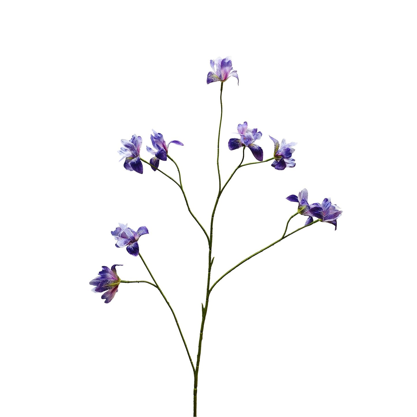 Botanica Purple Iris Spray (105cm)