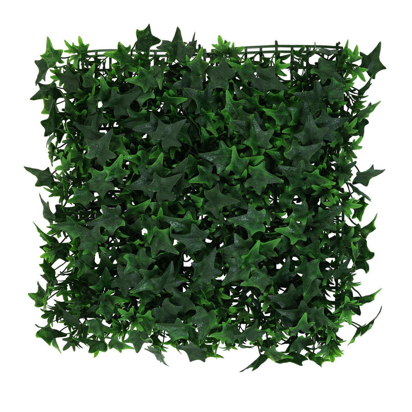Exterior Ivy Wall (50x50cm)