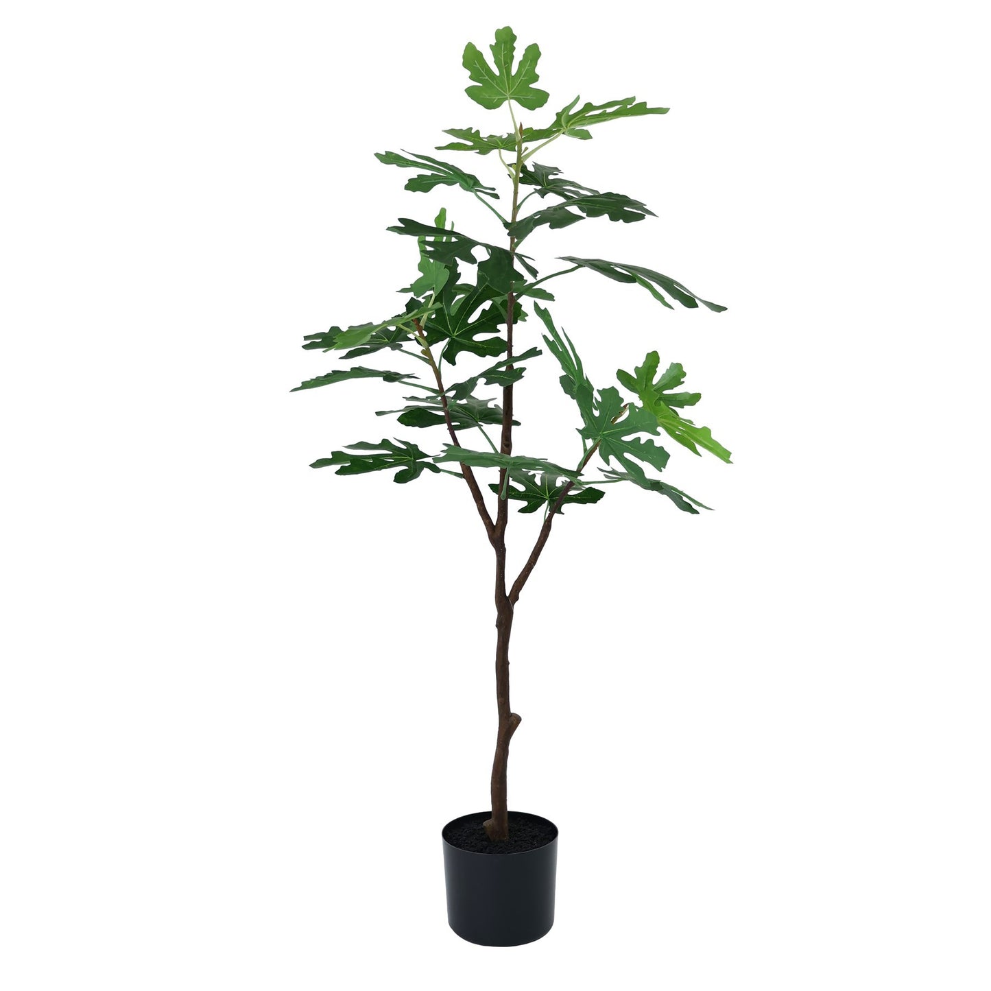 Botanica Fig Tree in Pot (105cm)
