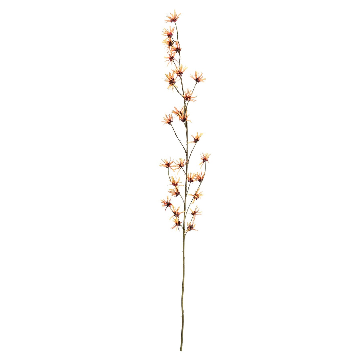 Botanica Orange Hamamelis Branch (153cm)