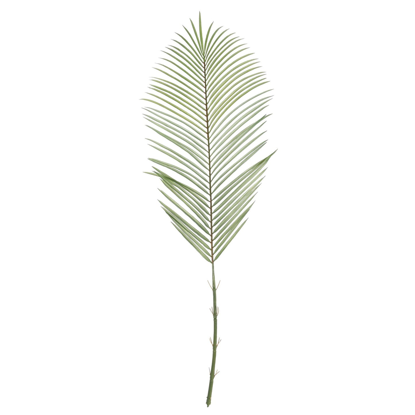 Green Areca Palm Frond (114cm)