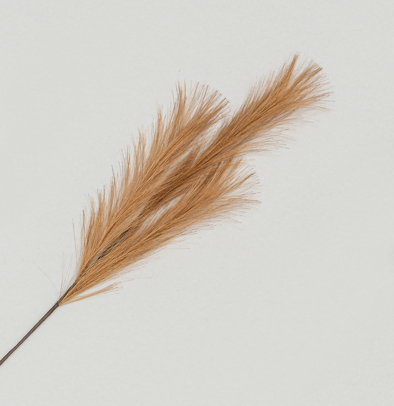 Copper Pampas Grass Spray (82cm)