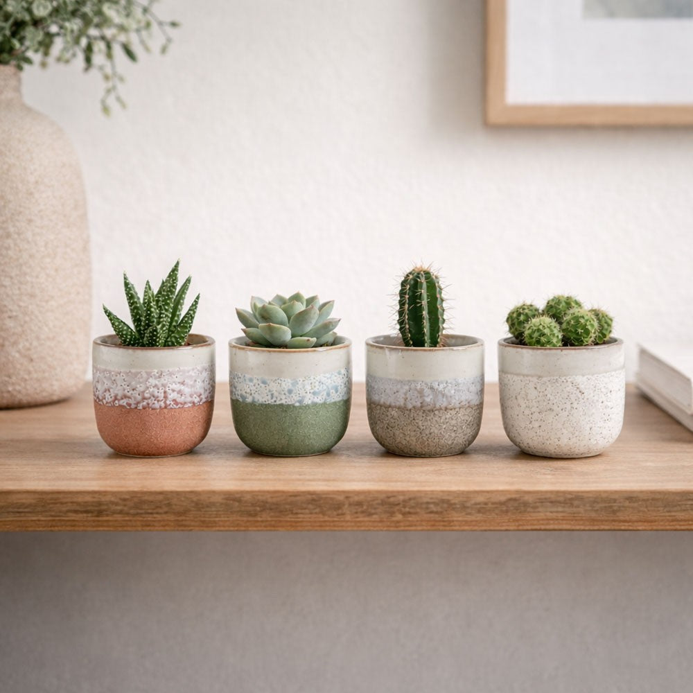 Hortus Pink &amp; White Hortus Stoneware Pot (6.5cm H x 7cm Dia)