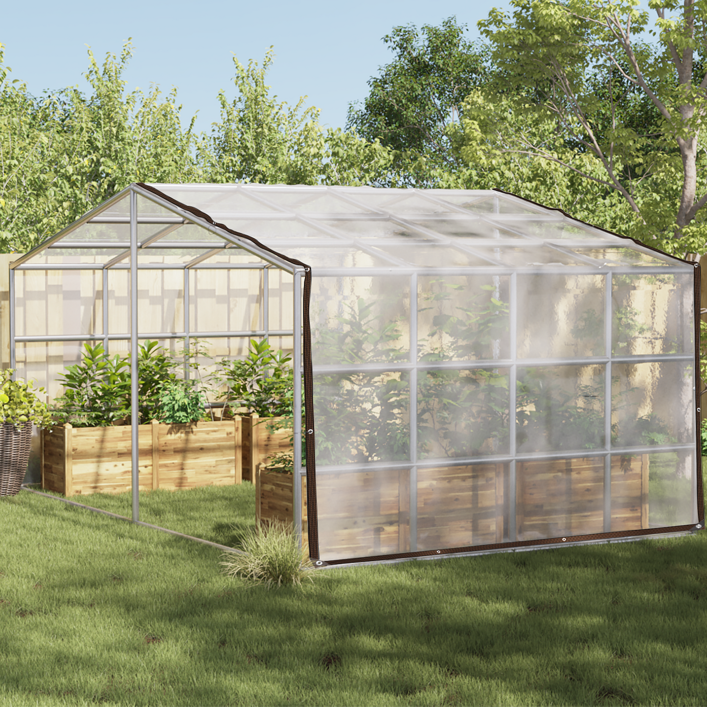 Plant Cover Transparent 4 x 6 m PE