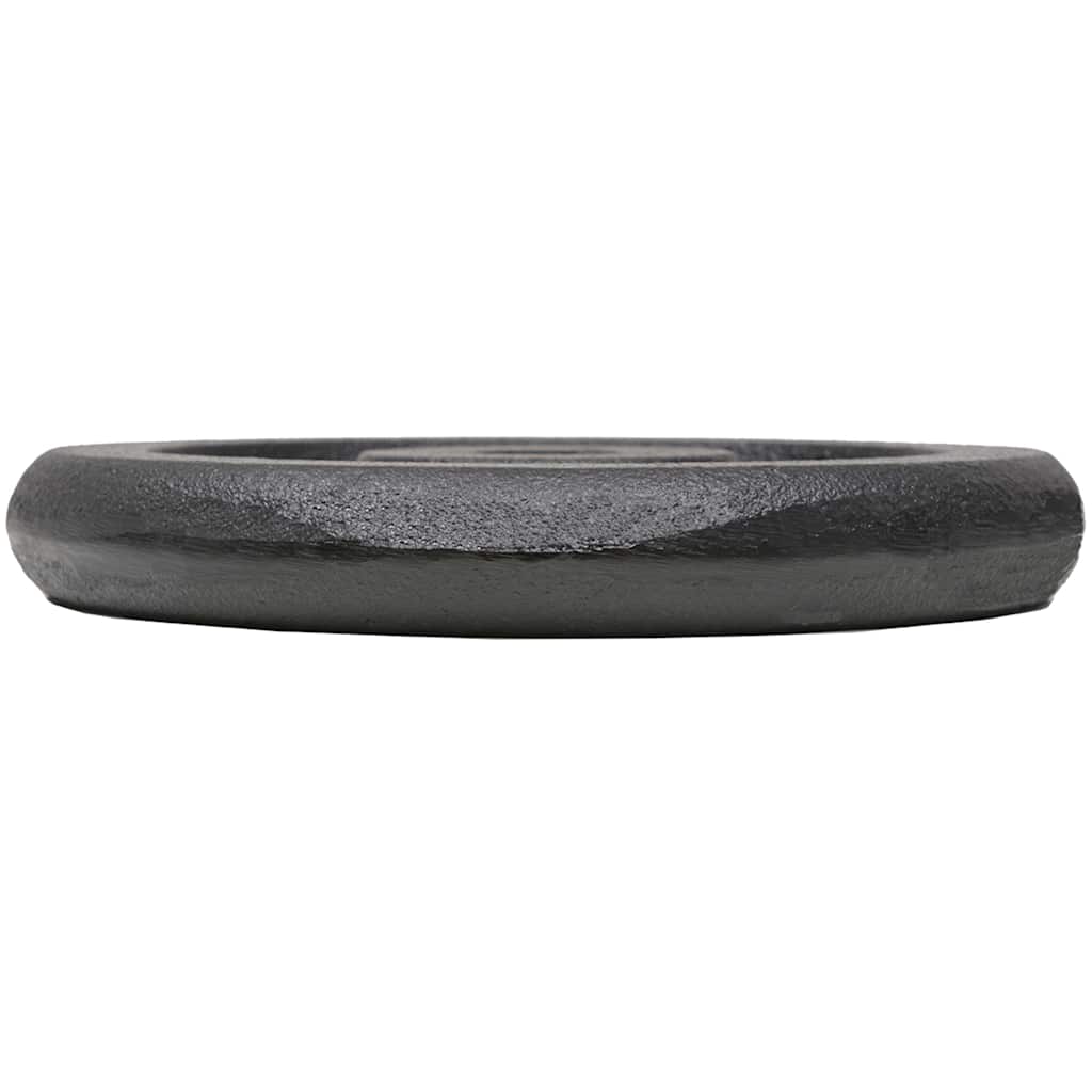 Weight Plates 4 pcs 4x5 kg Cast Iron
