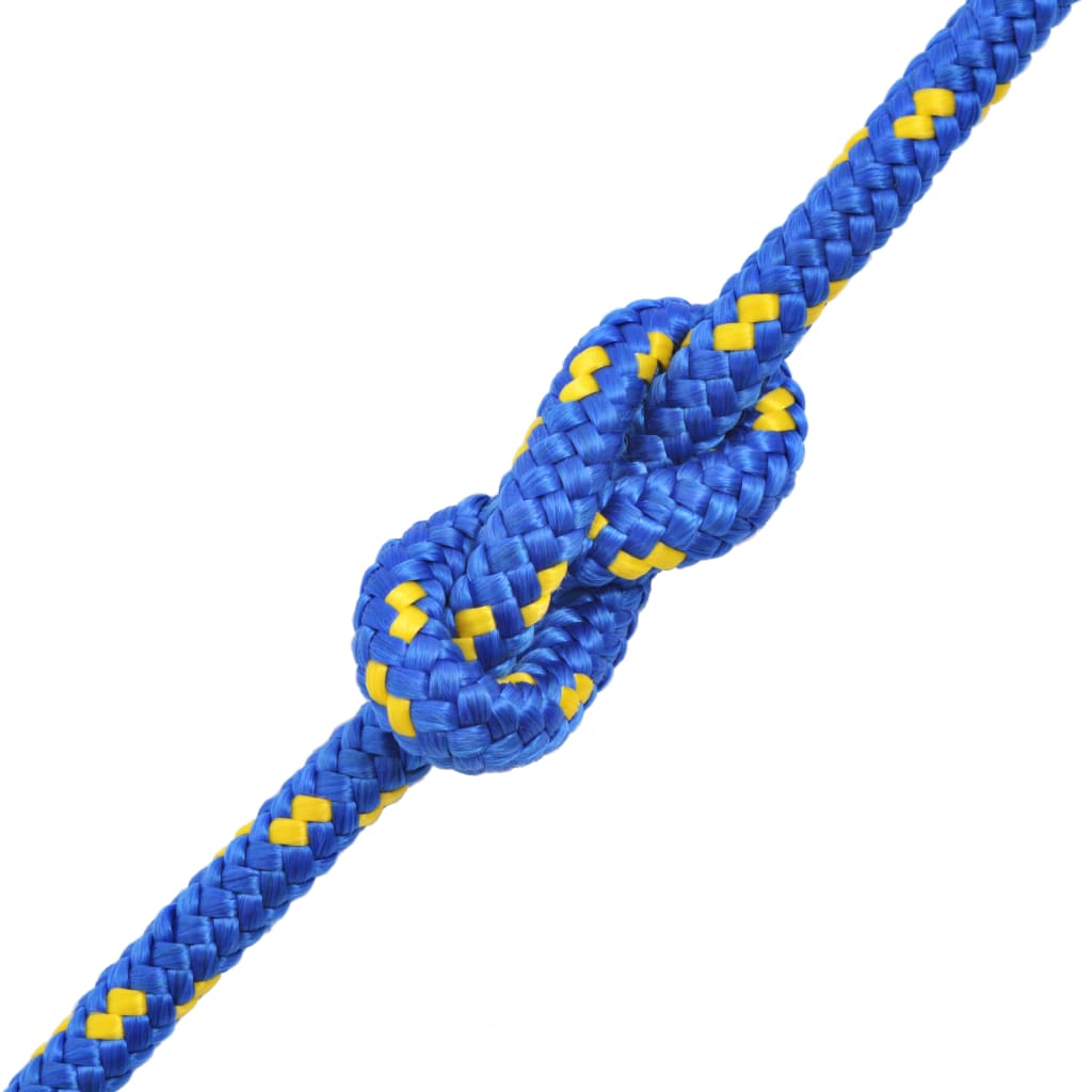 Marine Rope Polypropylene 10 mm 250 m Blue
