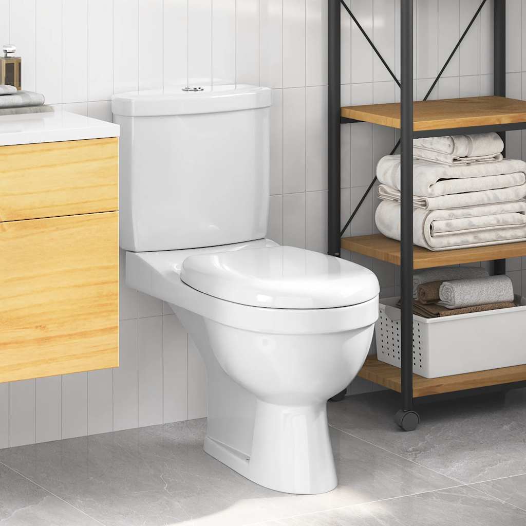 Toilet With Cistern White