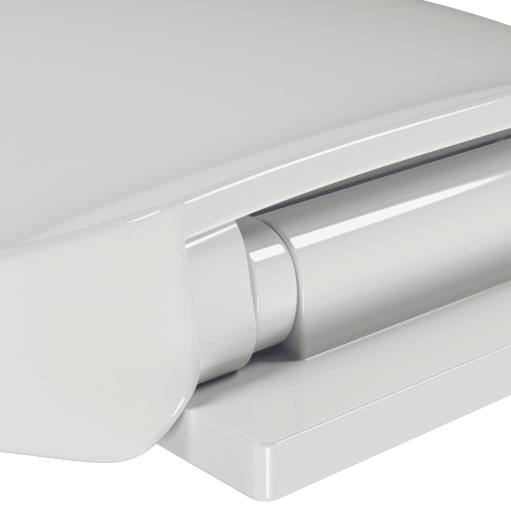 Soft-close Toilet Seat White Oval