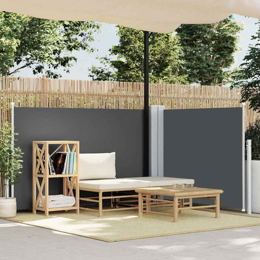 48444 vidaXL Retractable Side Awning Anthracite 100x600 cm