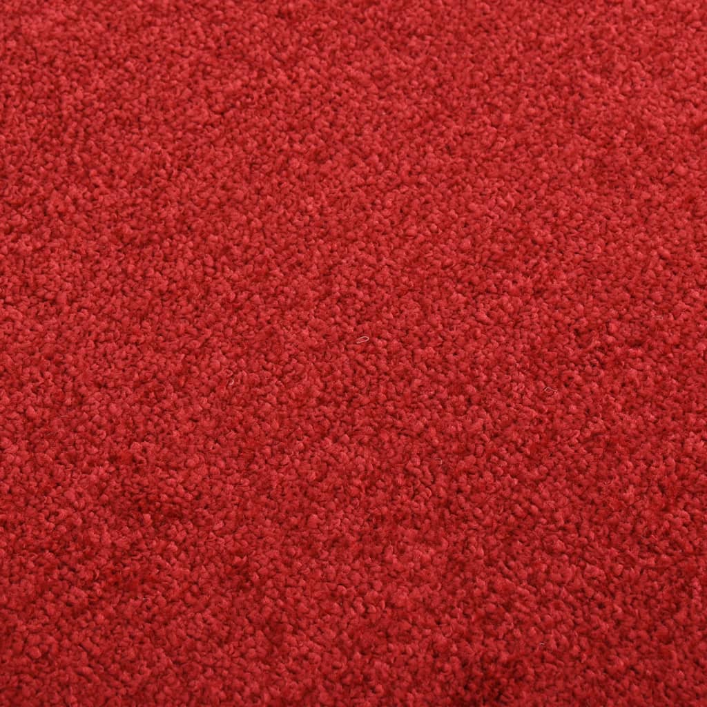 Doormat  Red 80x120 cm
