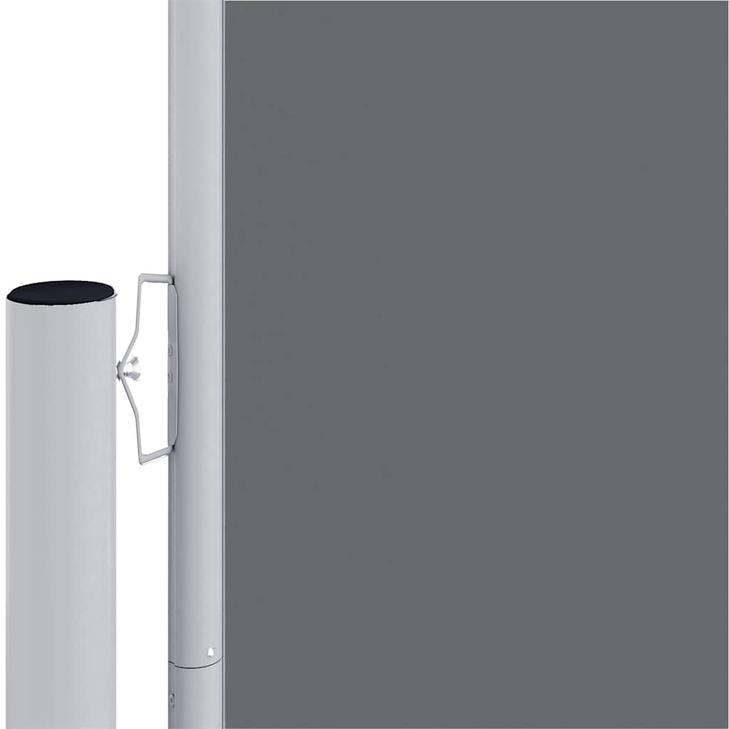 Retractable Side Awning Anthracite 220x1000 cm