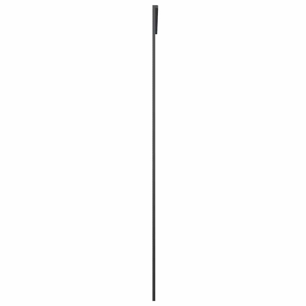 Sliding Door Black 102.5x205 cm ESG Glass and Aluminium
