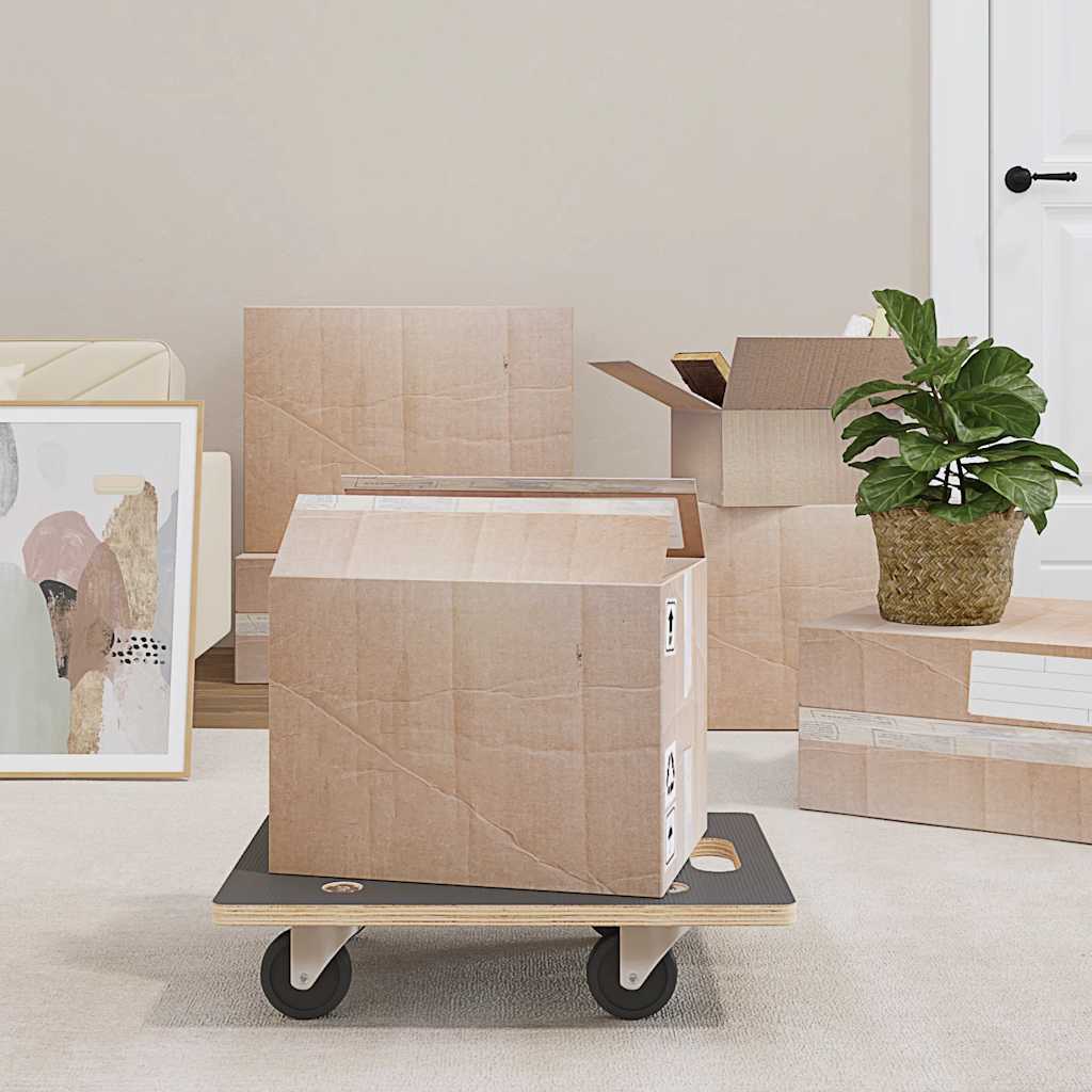 Transport Trolleys 2 pcs Rectangular 50x35x11,5 cm 250 kg
