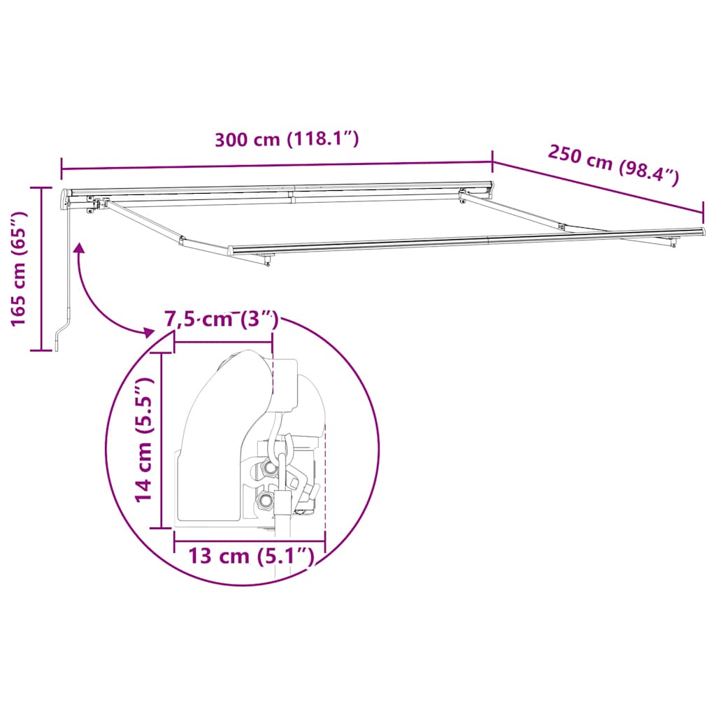 Manual Retractable Awning Brown 300x250 cm