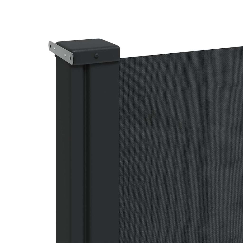 Retractable Side Awning Black 220x300 cm