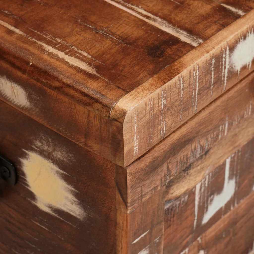Storage Box with Storage with Door Brown Solid Mango Wood