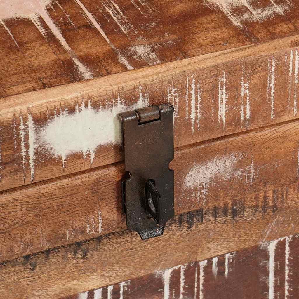 Storage Box with Storage with Door Brown Solid Mango Wood