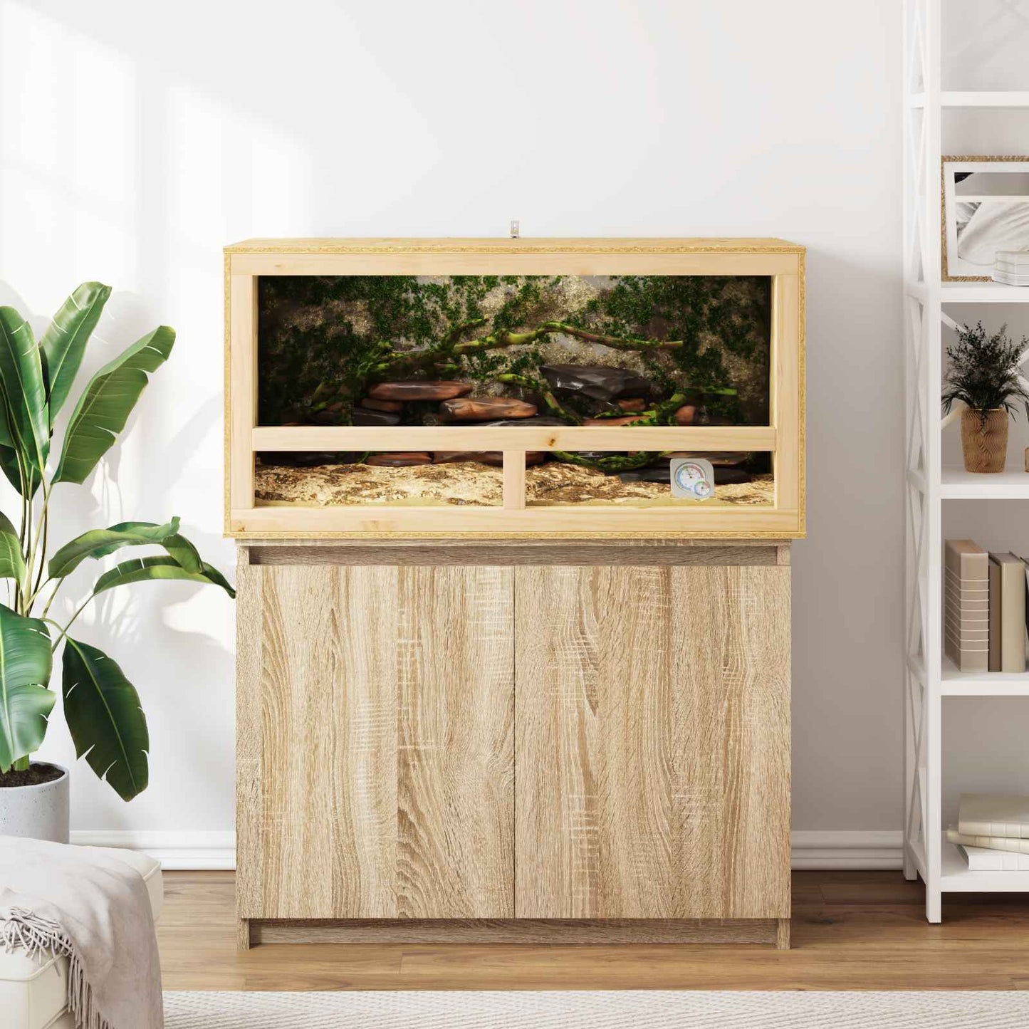 Terrarium Brown 100 x 50 x 50 cm OSB