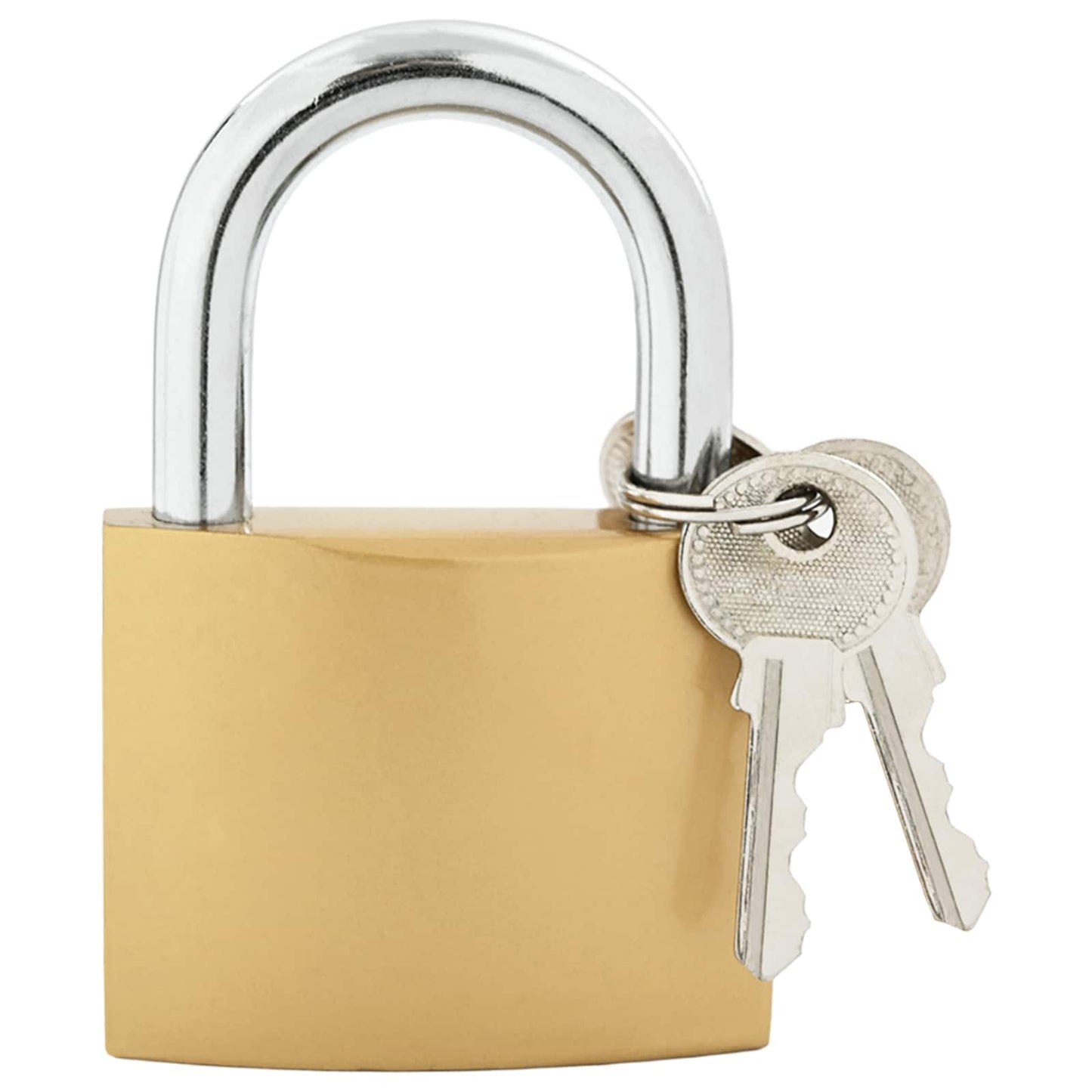 U Lock with Keys Brass 6 x 2 x 9.1 cm Iron