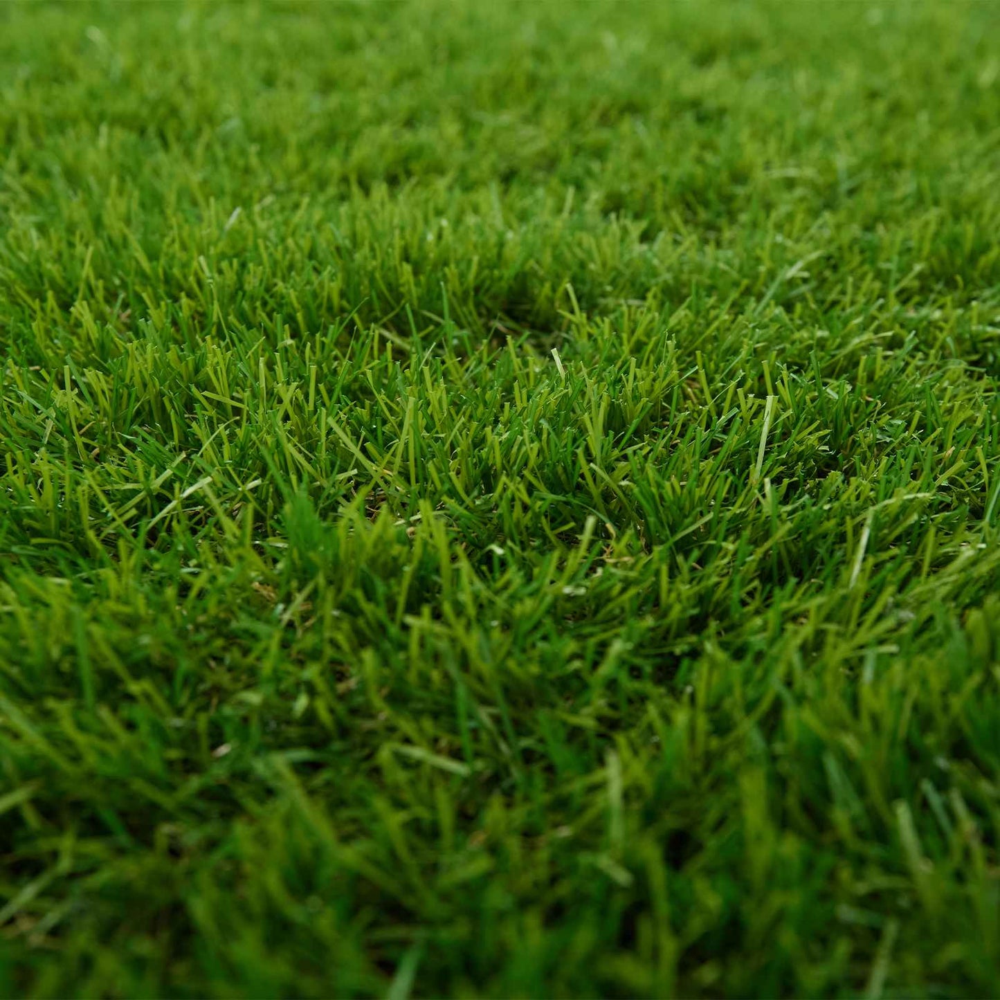 Artificial Grass PP &PE