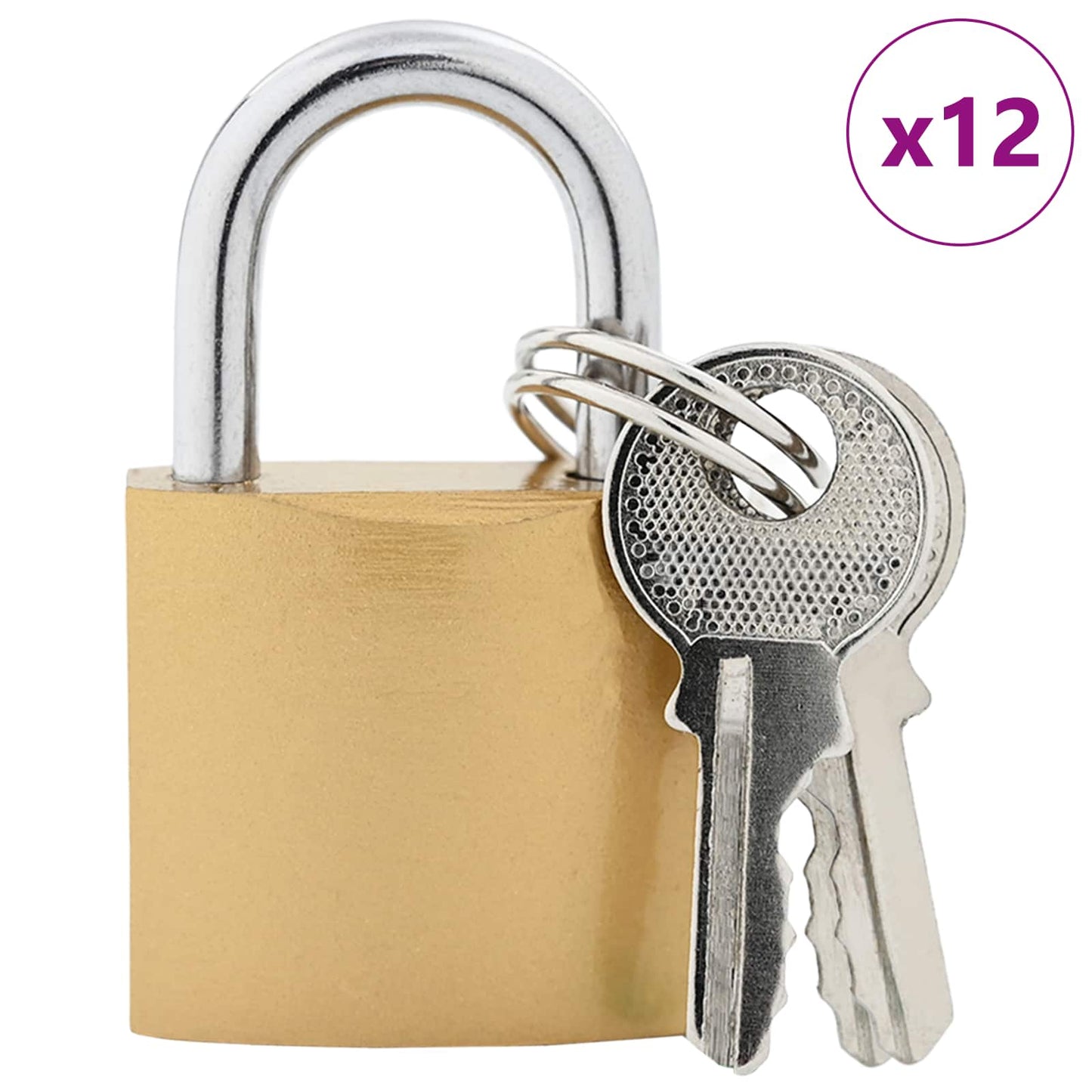 U Lock with Keys 12 pcs Brass Iron