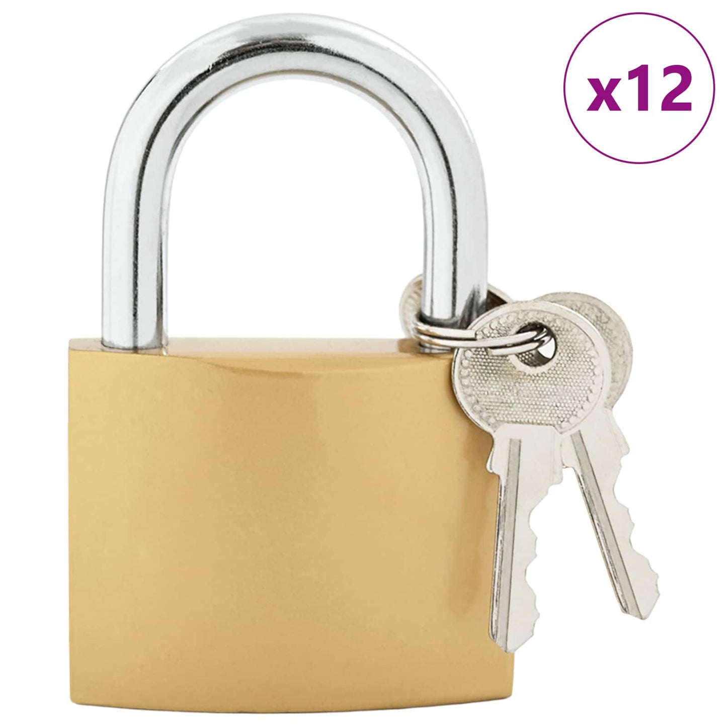 U Lock with Keys 12 pcs Brass Iron