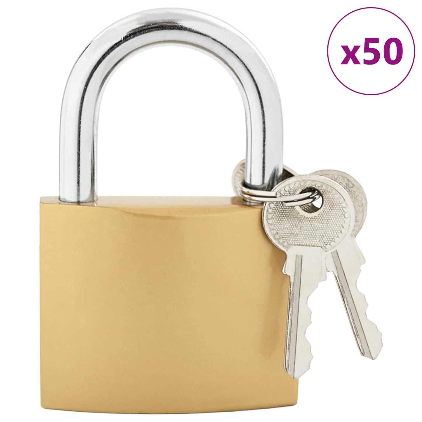 U Lock with Keys 50 pcs Brass Iron