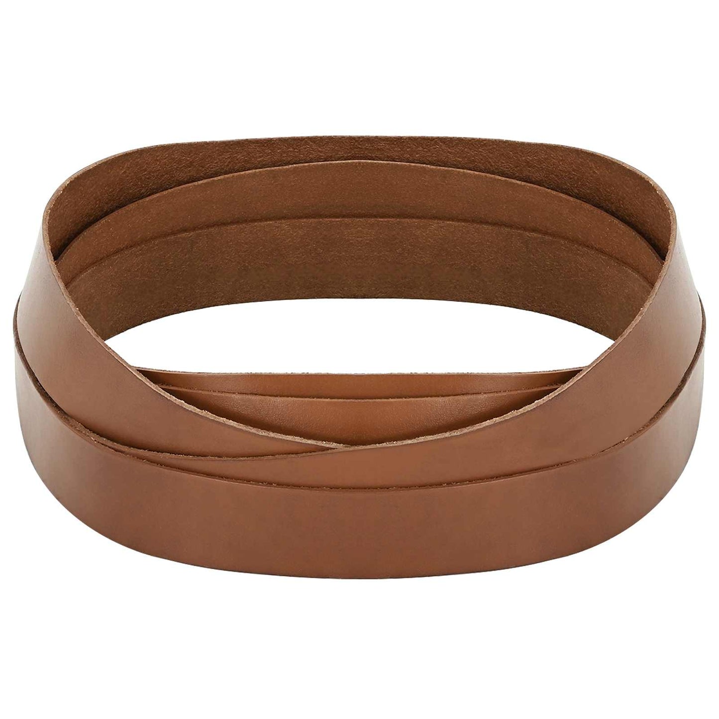 Leather Strap 1 Brown 200 x 2.5 cm Leather